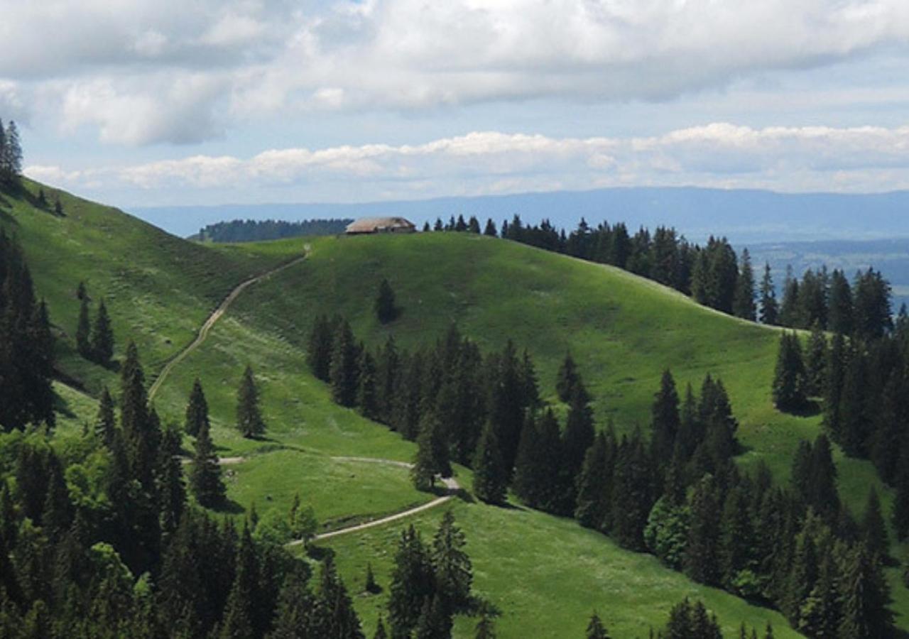 Au Petit Gite Les Paccots Châtel-Saint-Denis Dış mekan fotoğraf